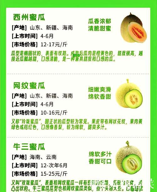 如何正确使用吃瓜网官网获取最新资讯 如何正确使用吃瓜网官网获取最新资讯